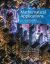 eBook: Mathematical Applications for the Management