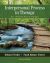 Interpersonal Process in Therapy Integrative Model