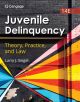 Juvenile Delinquency: Theory