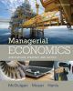 Managerial Economics Applications