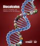 Biocalculus Calculus/Probability/Statistics Life Sciences 