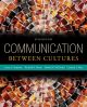 eBook: Communication Between Cultures 12Months