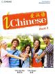 iChinese